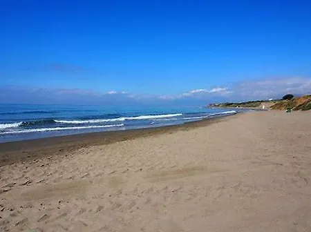 Los Arbolitos