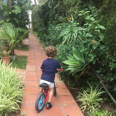 Apartamento Los Arbolitos *